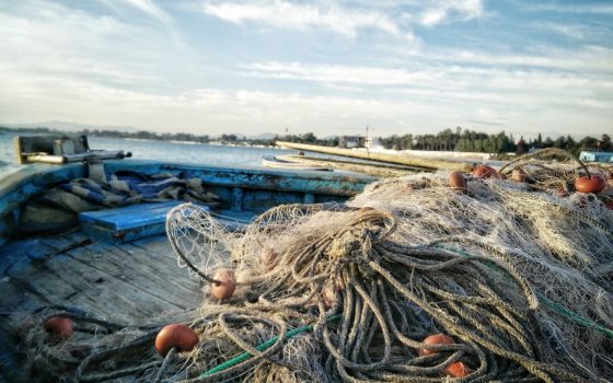Full nets and empty shelves