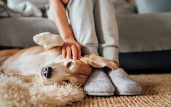 5 things you need to know about retrofit