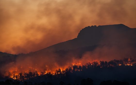 Weekly Economics Podcast: Changing the rules of our economy to stop environmental breakdown