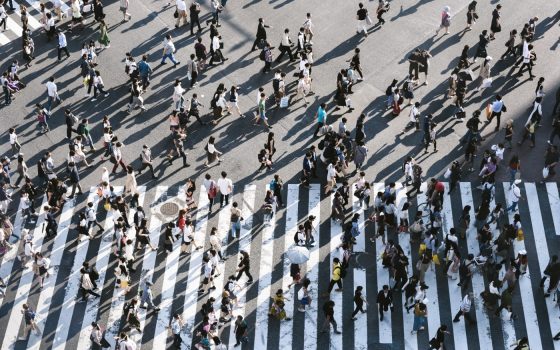 The Case for Universal Basic Services: Book Launch