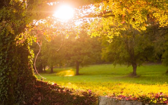 New Economics Briefing: How do we win a green recovery?